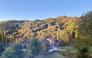 Entorno_Apartamentos_Pitarroy_Otoño